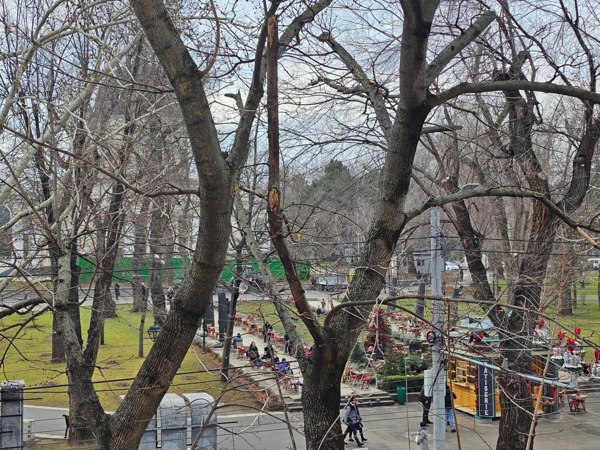 Cathedral Park&Pedestrian Zone Apartment! Chişinău Esterno foto